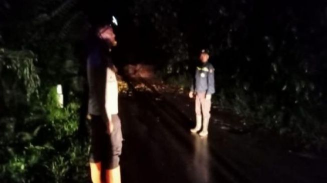 Pasaman Barat Dilanda Longsor, Akses Transportasi Terputus