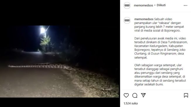 Viral Video Penampakan Ular Sepanjang 7 Meter Melintas di Desa Tumbrasanom Bojonegoro