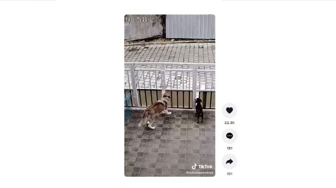 Aksi kurir paket tutup pager pemiik rumah, tuai pujian warganet. [TikTok]