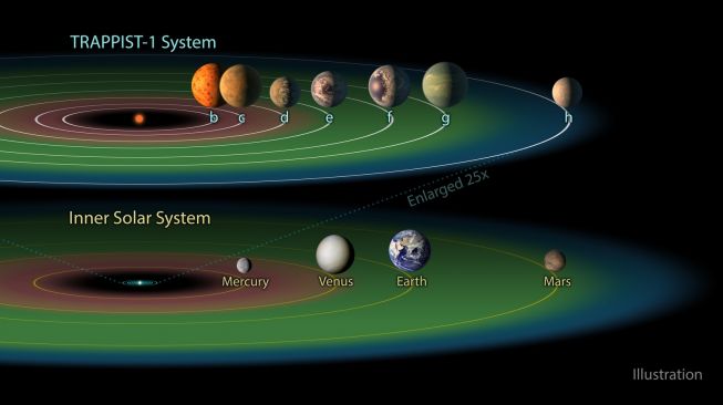 Perbandingan sistem bintang Trappist-1 dan tiga planet di zona layak huni (berwarna hijau) dengan tata surya kita. [NASA]