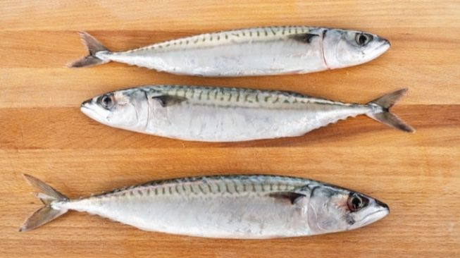 Sama Seperti Salmon, Ikan Makarel Bisa Berikan 5 Manfaat Ini bagi Kesehatan