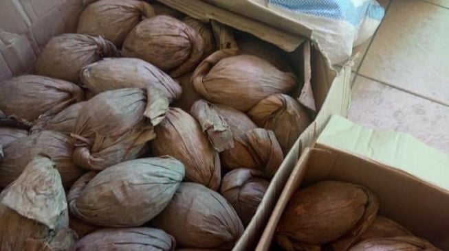 Produksi Gula Merah di Desa Todang-Todang Dikeluhkan Harganya