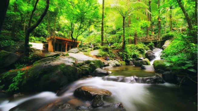 Mengenal Curug Cilember, Populer dengan 7 Tingkatan Air Terjun