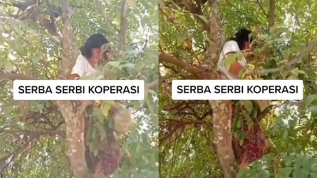 Viral Petugas Koperasi Cari Nasabah Mau Tagih Utang (TikTok)