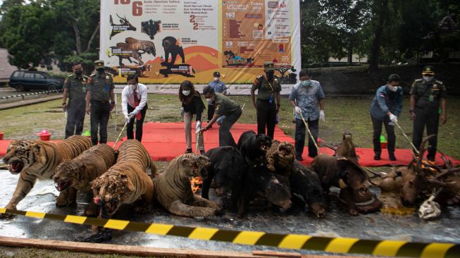 Direktur Konservasi Keanekaragaman Hayati Spesies dan Genetik KLHK Indra Exploitasia (keempat kiri) didampingi Direktur Ditreskrimsus Polda Sumsel Kombes Pol Barly Ramadhany (ketiga kiri), Kepala Dinas Kehutanan Sumsel Panji Tjahjanto (ketiga kanan) dan Kepala Balai Konservasi Sumber Daya Alam (BKSDA) Sumatera Selatan Wisnu Barata (kedua kanan) melakukan pemusnahan barang bukti koleksi jenis awetan (offset) satwa terancam punah dilindungi di Palembang, Sumatera Selatan, Jumat (18/3/2022). [ANTARA FOTO/Nova Wahyudi/hp]