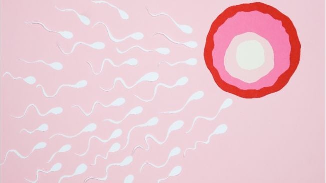 ilustrasi sperma menuju sel telur.[Pexels]