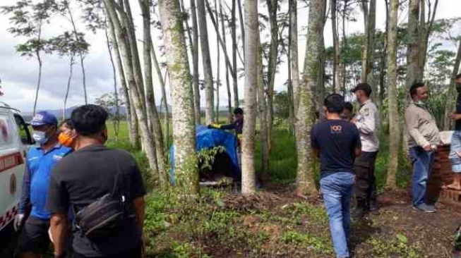 Pria Tanpa Identitas Ditemukan Tewas di Kebun Sengon Malang, Sudah Tiga Tahun Tinggal di Gubuk