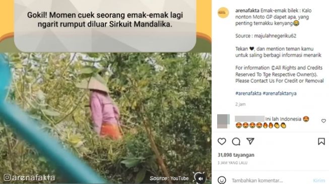 Ibu-ibu fokus mencari pakan ternak walau ada MotoGP Mandalika. (Instagram/@arenafakta)