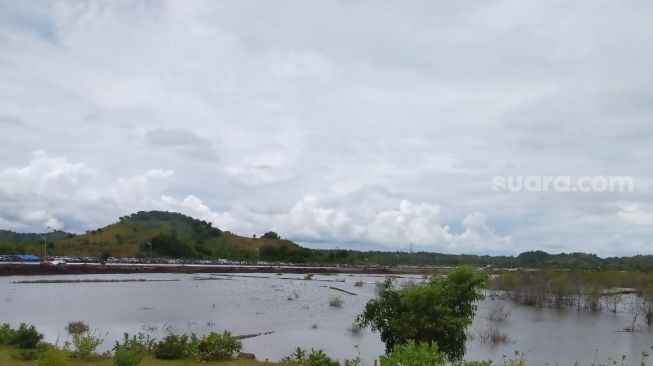 Lokasi salah satu parkir kendaraan  di kawasan Parkir Timur Sirkuit Mandalika, diabadikan sebelum macet total [Suara.com/CNR ukirsari].