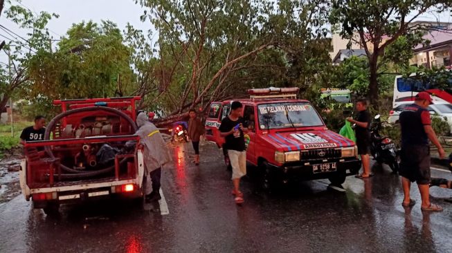 Pohon Tumbang Timpa Pengendara Roda Dua Hingga Tewas di Samarinda