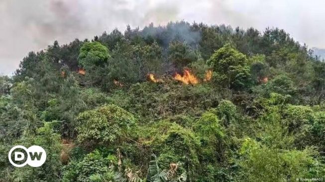 Tidak Ada Korban Selamat dari Kecelakaan Pesawat China Eastern