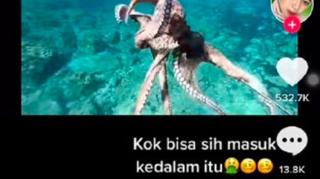 Video Gurita Viral di TikTok, Apa Itu? Bikin Warganet Kepo Sampai Jijik