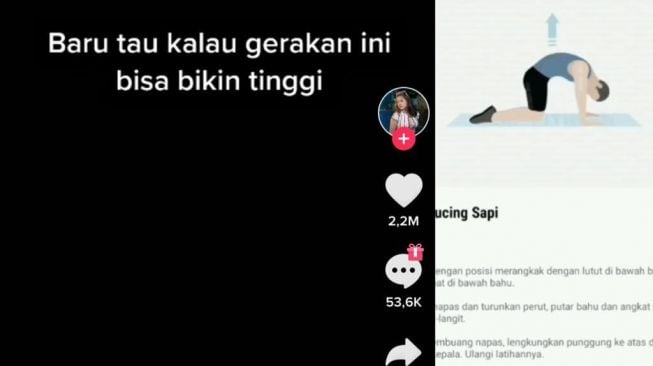 Viral Gerakan Kucing Sapi Diklaim Bisa Bikin Tubuh Makin Tinggi, Dokter Olahraga: Hoaks!