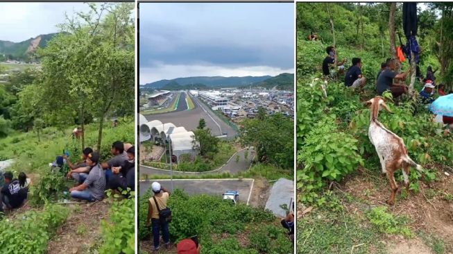 Potret 'Mewah' Penonton MotoGP Mandalika 2022 di Atas Bukit, Ditemani Kambing yang sedang Cari Makan