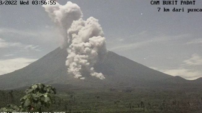 Gunung Semeru Muntahkan Awan Panas Sejauh Empat Kilometer, Terjadi 12 Kali Letusan