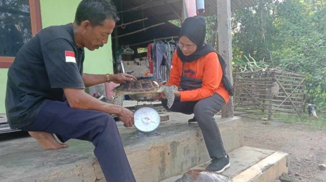 Melepasliarkan Penyu di Pulau Bawean Gresik