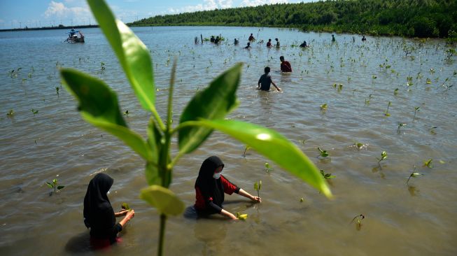 Sejumlah siswa menanam bibit bakau di kawasan pantai Untia, Kecamatan Biringkanaya, Makassar, Sulawesi Selatan, Sabtu (26/3/2022). [ANTARA FOTO/Abriawan Abhe/nym]