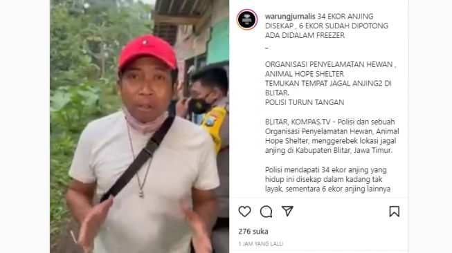 Viral Video Penyelamatan 34 Anjing Disekap di Blitar, 6 Ekor Sudah Dipotong Disimpan Dalam Freezer