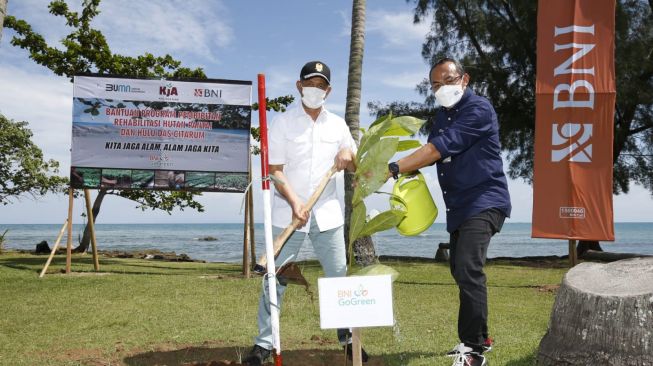 Pulihkan Alam, BNI Dorong Rehabilitasi Hutan Pesisir Pantai Anyer dan Hulu DAS Citarum