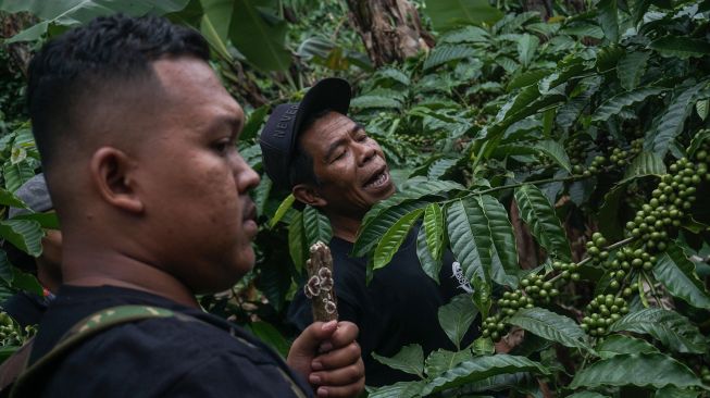 Petani kopi menjelaskan tentang tanaman kopi dalam kegiatan Batang Coffee Trip di Surjo, Kecamatan Bawang, Kabupaten Batang, Jawa Tengah, Minggu (27/3/2022).  ANTARA FOTO/Harviyan Perdana Putra