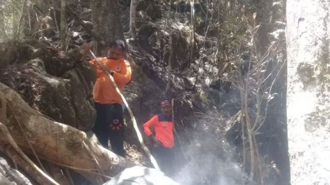 Tim Gabungan Padamkan Api yang Bakar Hutan Lindung