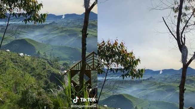 Pemandangan indah di belakang warung sederhana mirip di Swiss (TikTok itingsmeledak)