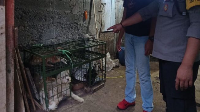 Diduga Bakal Disantap, Sejumlah Anjing Liar Dievakuasi dari Rumah Jagal di Pekanbaru