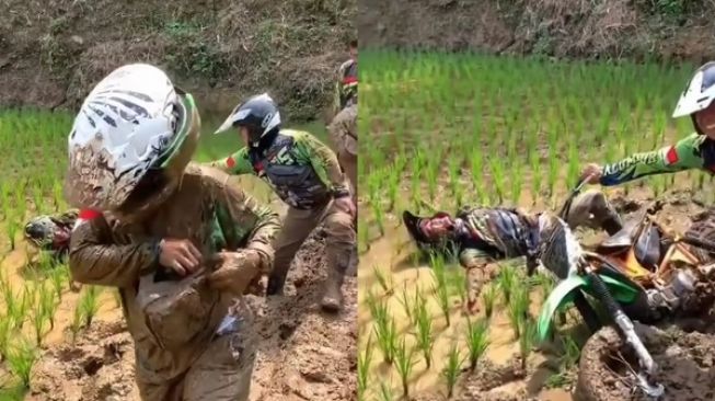 Viral Pemotor Trail Diduga Main di Sawah sampai Jatuh Merusak Padi, Tuai Kecaman: Kasihan Petaninya