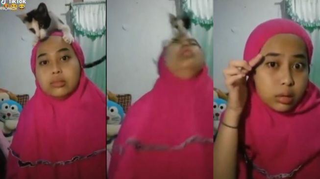 Momen seekor kucing menarik mukena perempuan yang sedang mengaji (TikTok annslok)