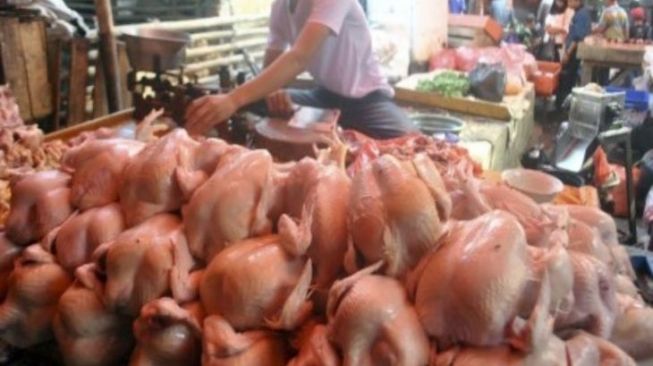 Harga Daging Ayam di Medan Meroket, Tembus Rp 42 Ribu per Kg