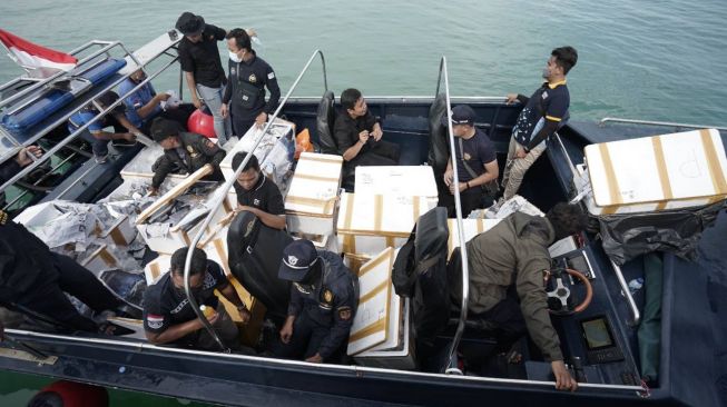 Bea Cukai Kepri Gagalkan Penyelundupan Benih Lobster Senilai Rp 14 Miliar