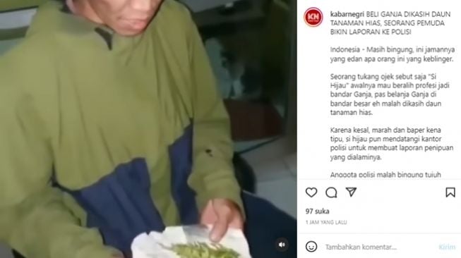 Pengedar ganja menjadi korban penipuan bandar yang malah memberinya daun tanaman hias, sehingga ia melaporkannya ke polisi. (Instagram/@kabarnegri)