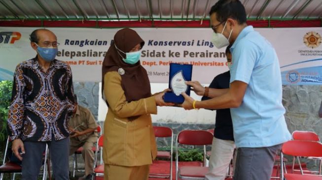 Jaga Kelestarian Ikan Sidat, STP dan UGM Kolaborasi Lakukan Restocking di Sungai Boyong, Yogyakarta