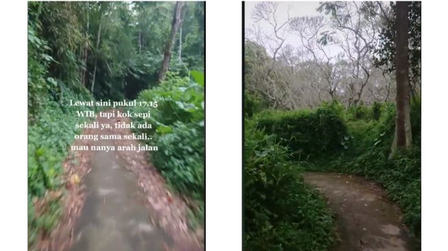 Google Maps Kembali Bawa Korban, Pemotor Ini Nyasar ke Jalan Setapak yang Cukup Bikin Merinding