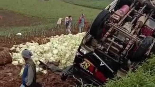 Jalan Berlubang di Gunung Bromo Diduga Jadi Sebab Truk Ini Terguling