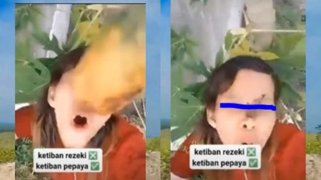 Momen remaja perempuan ketiban buah pepaya (TikTok memeviral56)