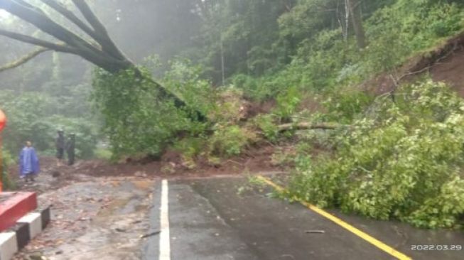 Jalur Wisata Sembalun Lombok Timur Sempat Dilanda Longsor Hingga Arus Lalu Lintas Terganggu