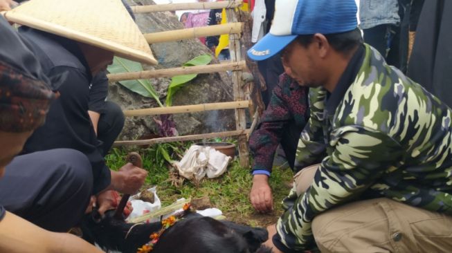 Penyembelihan kambing di acara Tumbalan Gunung Batu, Lembang, Bandung Barat. [Suara.com/Ferrye Bangkit Rizki]