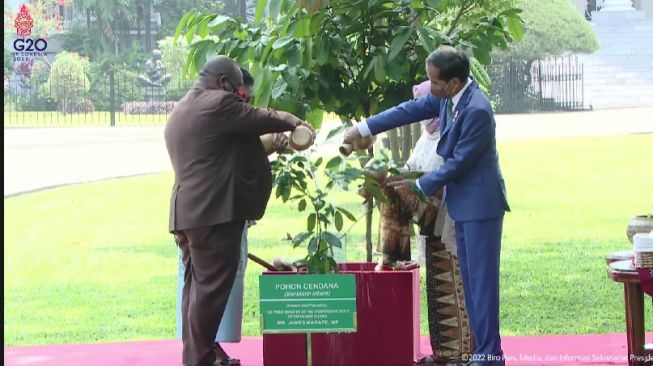 Sambut PM Papua Nugini, Jokowi Ajak James Marape Tanam Pohon Cendana di Istana Bogor