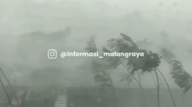 Hujan Ekstrem Menerjang Kota Malang, BMKG Sebut Fenomena Angin Downburst