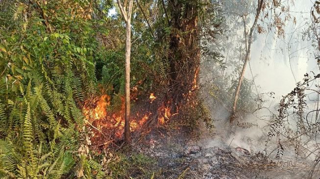 Kebakaran Hutan dan Lahan (Karhutla) terjadi di Jalan Bupati, Kecamatan Tambang, Dusun II Desa Tanjung Kudu, RT 3/RW 1 Kabupaten Kampar, Jumat, 1 Maret 2022 sekitar pukul 14.00 WIB/DEFRI CANDRA /Riau Online