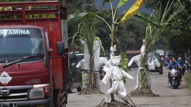 Pengendara sepeda motor melintas di jalan rusak yang ditanami tanaman pisang dan tebu di Desa Janti, Kediri, Jawa Timur, Sabtu (2/4/2022). [ANTARA FOTO/Prasetia Fauzani/foc]