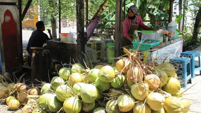 Kumpulan Berita Pedagang Kelapa Di Mataram Terbaru Dan Terkini