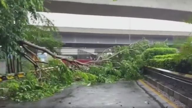 Pohon Tumbang Tutup Badan Jalan, Netizen Sebut Pemkot Bekasi Kurang Sigap