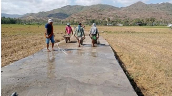 Demi Tingkatkan Kesejahteraan Petani di Kabupaten Bima, Kementan Realisasikan Program Jalan Usaha Tani