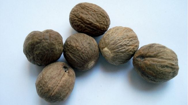 Produksi Pala di Aceh Utara Capai 55,1 Ton