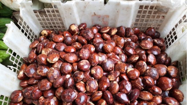 Selain Enak Disemur, Inilah 4 Manfaat Jengkol untuk Kesehatan