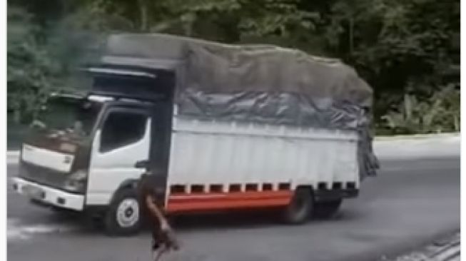 Detik-Detik Truk Jalan Mundur Usai Tak Kuat Melibas Tanjakan, Aksi Sopir Bikin Publik Terpukau