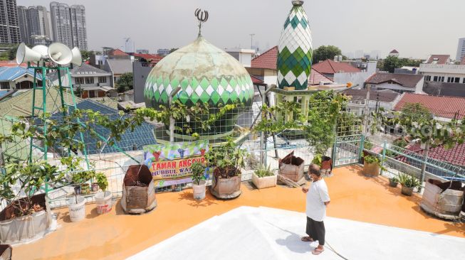 Pengurus merawat tanaman anggur di rooftop Masjid Hubbul Wathon, Cempaka Putih, Jakarta Pusat, Selasa (5/4/2022). [Suara.com/Alfian Winanto]