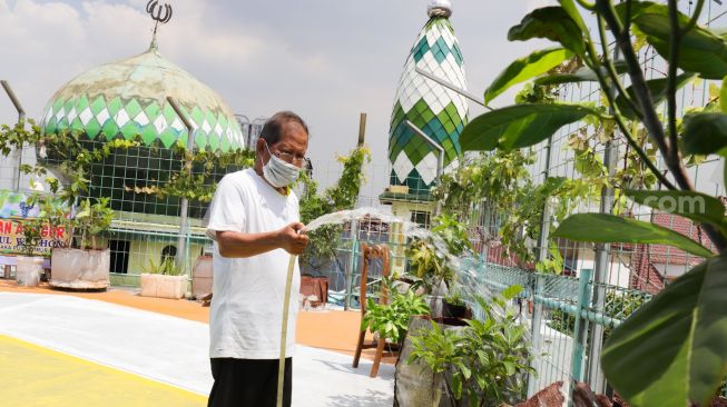 Pengurus merawat tanaman anggur di rooftop Masjid Hubbul Wathon, Cempaka Putih, Jakarta Pusat, Selasa (5/4/2022). [Suara.com/Alfian Winanto]